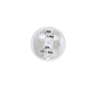 Bosch C5W (239) Pure Light Halogen Headlight Bulbs, 12 V 5 W