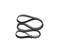 BOSCH 1 987 946 255 Serpentine belt