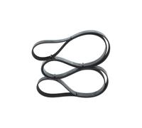 Fits BOSCH 1 987 946 284 V-ribbed Belt 1 987 946 284 Multi-V-belt (7PK2535) fit