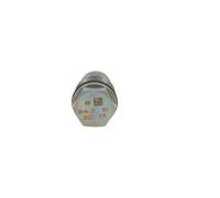 Bosch Pressure Relief Valve, common rail system 1 110 010 022