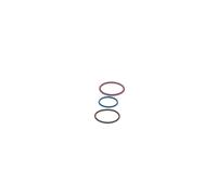 Repair Kit, unit injector BOSCH F00VX99999
