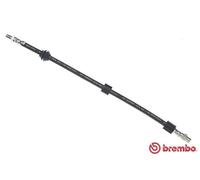 Fits BREMBO T 06 006 BRAKE HOSE. FRONT BMW ⭐UK Stock⭐