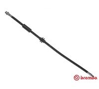 BREMBO BRAKE HOSE T06036 FOR BMW