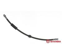 Brembo Brake Hose T 06 038 - Rear - Fits MINI Clubman 1.6L (N47C16A, N18B16A/B16C)