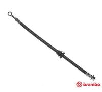 Brembo Brake Hose T 10 003 – Fits Chevrolet/Daewoo Aveo, Kalos, Gentra, Lova 1.2L