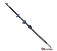 BREMBO Brake Hose AUDI,ALFA ROMEO T 23 034 0046474539,46474539,71736926 Brake Line,Brake Pipe 440019029781,HOS3008