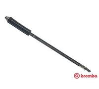 Brembo Front Brake Hose T 61 041 – Brake Line for VW, PEUGEOT, MAZDA – 480692