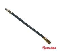 Brembo Brake Hose T 68 018 - Renault 21, Savanna, Clio (Lutecia), Twingo, F2N712/710/750/752 1.7L