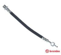Brake Hose Rear Right Left 235mm Length Fits Toyota Corolla BREMBO T83117