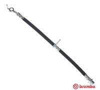 BRAKE HOSE FOR TOYOTA AURIS AVENSIS MIRAI PRIUS BREMBO T 83 166