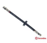 Flexible brake hose T 85 019 BREMBO for AUDI 80 B2 Saloon 80 B3 Saloon COUPE B2
