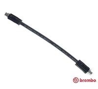 BREMBO Brake Hose ESSENTIAL LINE T 85 034 Brake Line,Brake Pipe AUDI,80 Limousine (8C2, B4),Cabriolet (8G7, B4),80 (89, 89Q, 8A, B3)