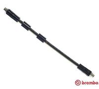 Fits BREMBO T 85 041 BRAKE HOSE. FRONT AUDI/VW ⭐UK Stock⭐