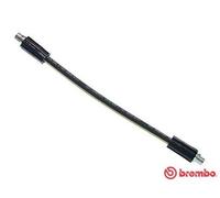 Brembo Brake Hose T 85 064 - Audi A4/S4, A6/S6; VW Passat; Skoda Superb I (AHL/ANA/ARM 1.6L)