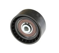 BTA B05-02-003 Tensioner pulley