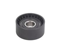 BTA B05-02-043 Tensioner pulley