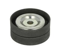 BTA E20314BTA Tensioner pulley