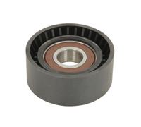 BTA E2C0053BTA Tensioner pulley