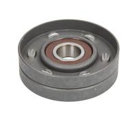 BTA E2G5243BTA Tensioner pulley