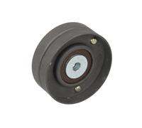 BTA E2W6301BTA Deflection/Guide Pulley, V-ribbed belt for SEAT,SKODA,VW