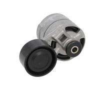 BTA E2G0020BTA Tensioner pulley