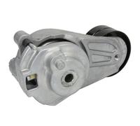 Fits BTA E3M0001BTA Belt Tensioner, V-ribbed belt E3M0001 BTA Bearing Technolog