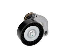 Tensioner Lever, V-ribbed belt BTA E3M0003BTA for CLK (C209) 1.8 2002-2009