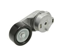 BTA E3W0013BTA Tensioner pulley