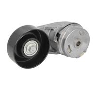 BTA E3X0017BTA Tensioner pulley