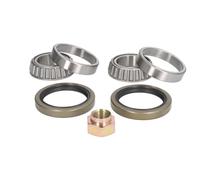 BTA H1L001BTA Wheel bearing kit