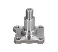 BTA H5G024BTA Steering knuckle