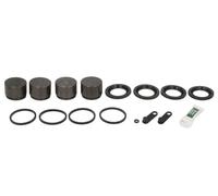 Fits BUDWEG BUD2090215 Disc brake caliper repair kit BUD2090215 Brake ⭐UK Stock⭐