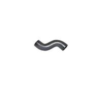 BUGIAD 81623 Charger intake hose