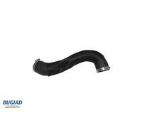 BUGIAD 82269 Charger intake hose