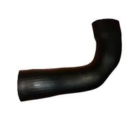 BUGIAD 88836 Charger intake hose