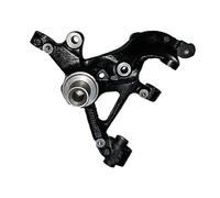 BUGIAD BSP25053 Steering knuckle