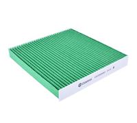 Castrol Cabin Air Filter CC0059C - For Acura, Great Wall & Honda CR-V/IV/III, Civic/IX 2.3L