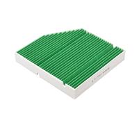 Castrol filters CC0081C Pollen filter