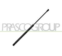 Fits Citroen C1 Tailgate Gas Strut 2014- B000877780