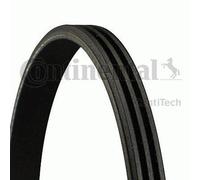 Fits CONTITECH 3PK628 ELAST V-RIBBED BELT