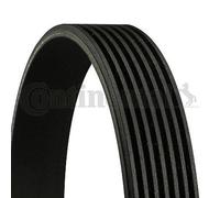 Continental Serpentine Belt 7PK1666 – Fan Drive, 7 Ribs, 1666 mm
