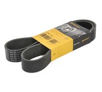 Fits CONTITECH 10 PK 1162 V-ribbed Belt 10 PK 1162 Multi-V-belt (10PK1162) fits