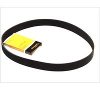 CONTITECH 10PK1460 Serpentine belt