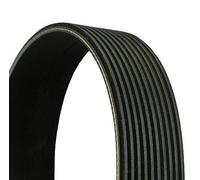 Fits CONTITECH 10 PK 1580 V-ribbed Belt 10 PK 1580 Multi-V-belt (10PK ⭐UK Stock⭐