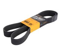 CONTITECH 10PK1635 Serpentine belt