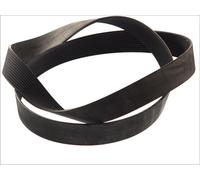 Fits CONTITECH 12 PK 1815 V-Ribbed Belt DE stock