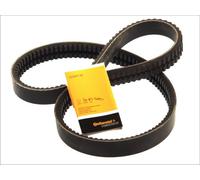 BANDED VBELTS 2/XPB1800 FORBANDED VBELTS 2/XPB1800 FOR NEOPLAN DEUTZ-FAHR 613