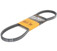 Continental Serpentine Belt 4PK874 ELAST V-Ribbed - Fits FIAT DOBLO 46811283