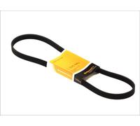 10x ✅Fits CONTITECH 5 PK 1140 V-ribbed Belt 5 PK 1140 Multi-V-belt ( ⭐UK Seller⭐