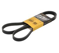 CONTITECH 5PK1427 Serpentine belt